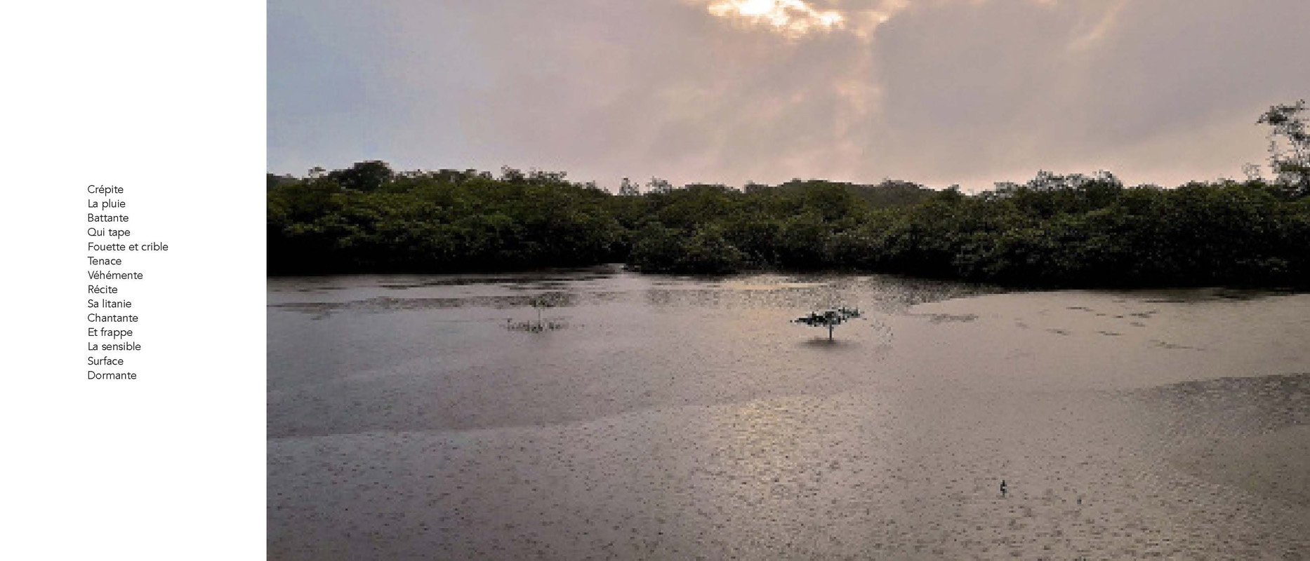 Marc Pinget, écrivain poète à Montsinery en Guyane. Recueil de poèmes 2018 : Clouduages