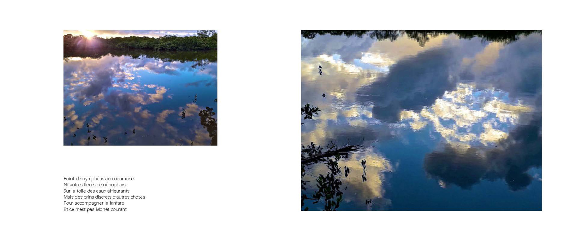 Marc Pinget, écrivain poète à Montsinery en Guyane. Recueil de poèmes 2018 : Clouduages