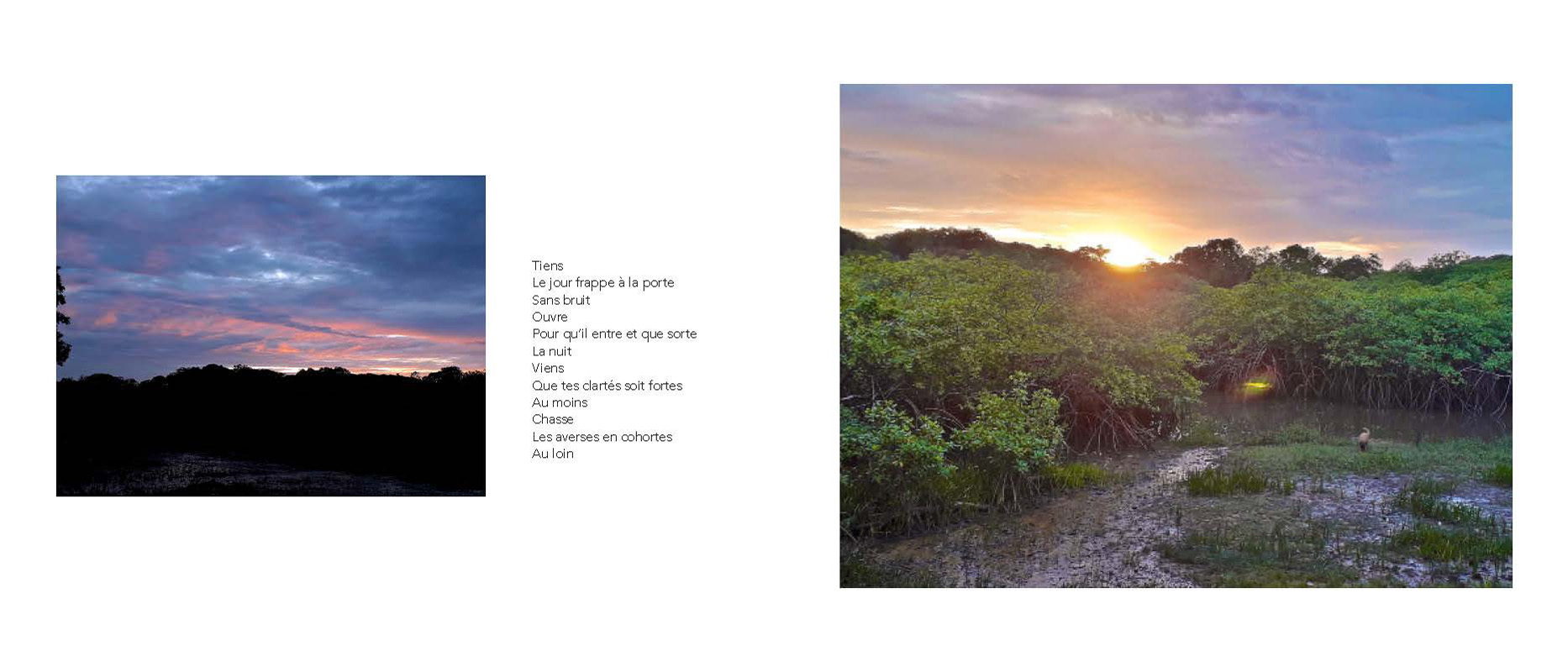 Marc Pinget, écrivain poète à Montsinery en Guyane. Recueil de poèmes 2018 : Clouduages