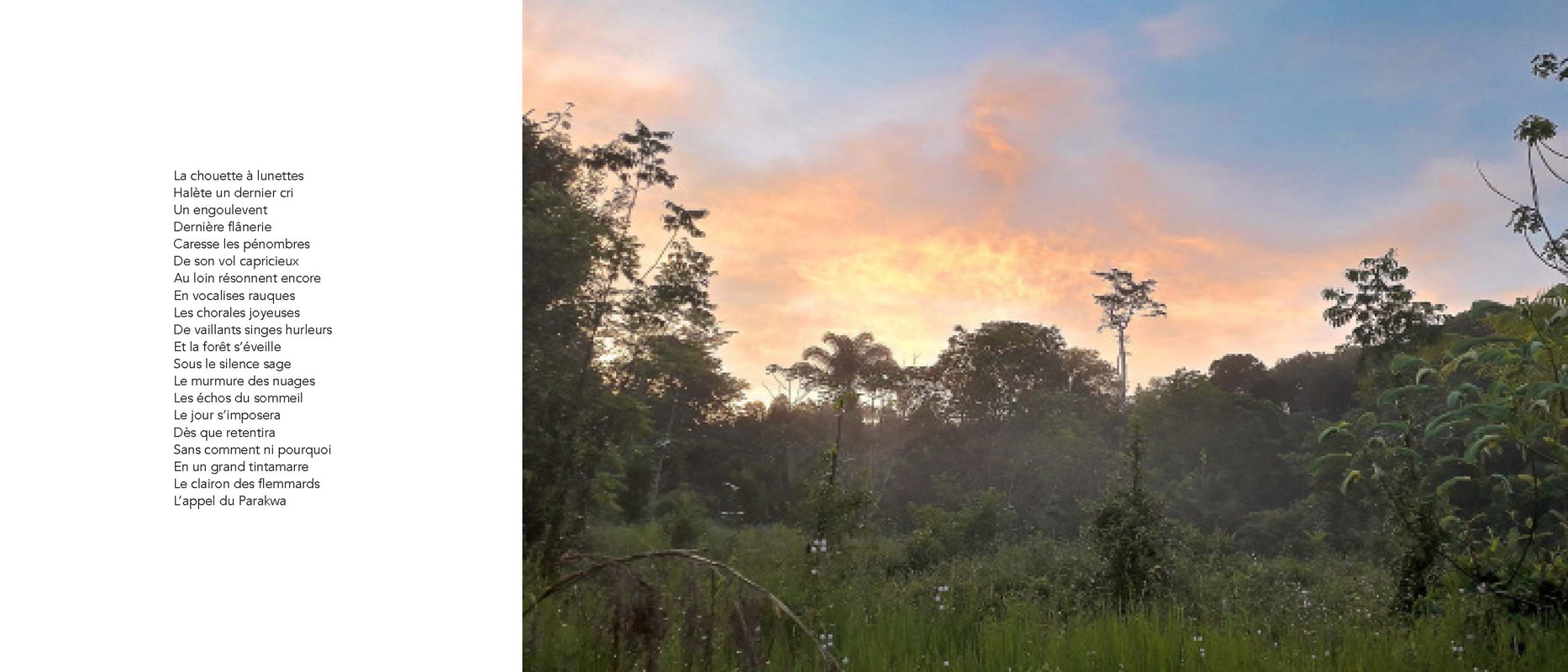 Marc Pinget, écrivain poète à Montsinery en Guyane. Recueil de poèmes 2018 : Clouduages