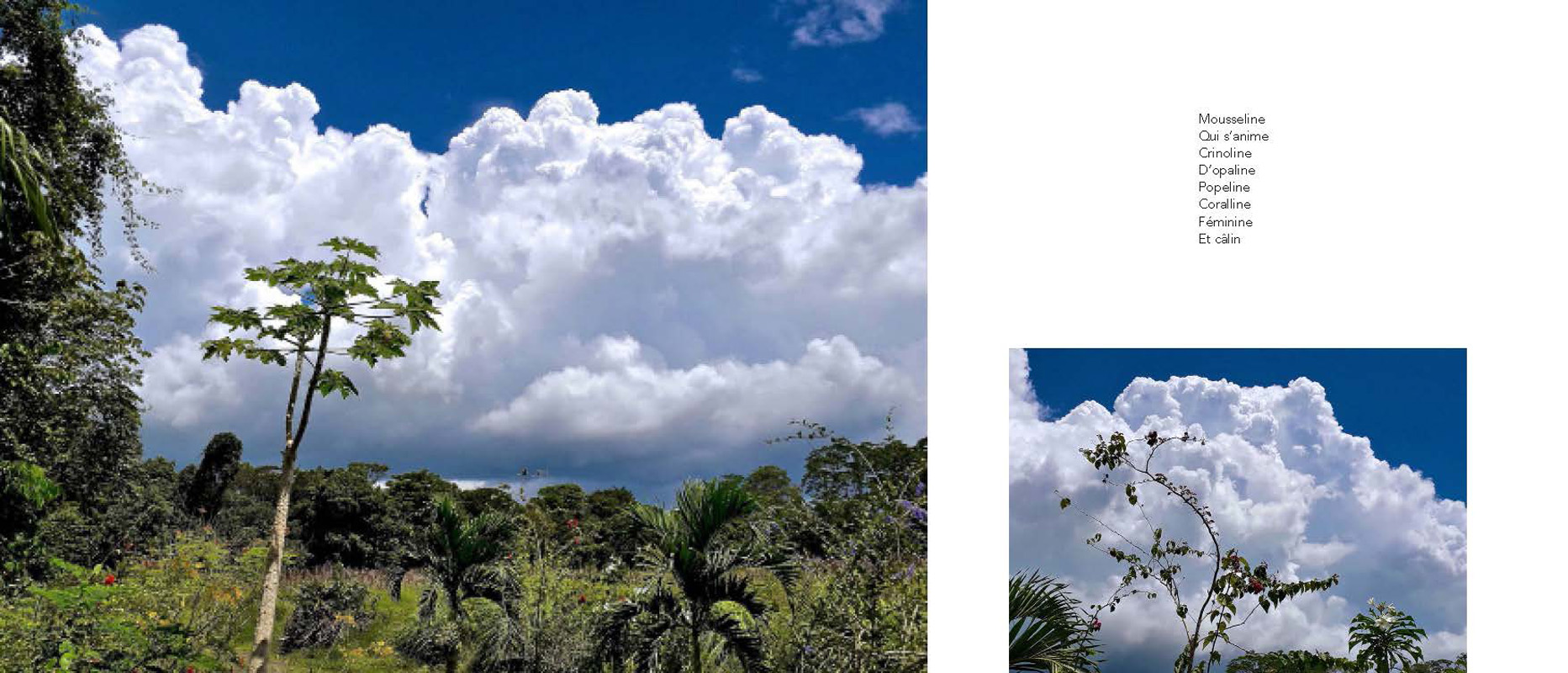 Marc Pinget, écrivain poète à Montsinery en Guyane. Recueil de poèmes 2018 : Clouduages