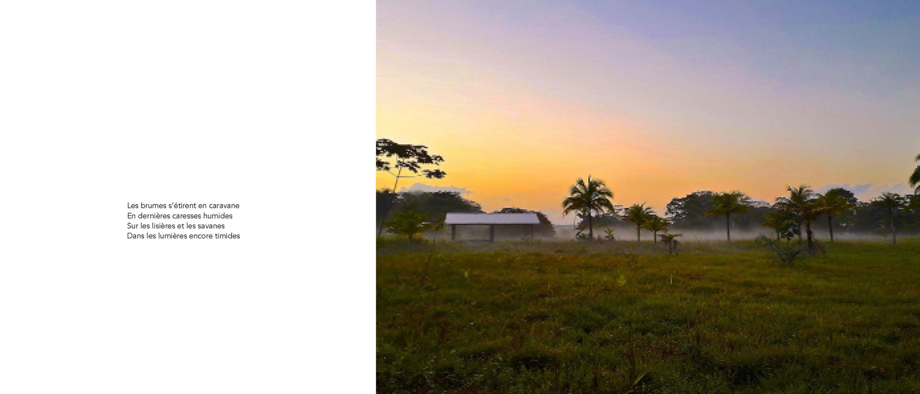 Marc Pinget, écrivain poète à Montsinery en Guyane. Recueil de poèmes 2018 : Clouduages