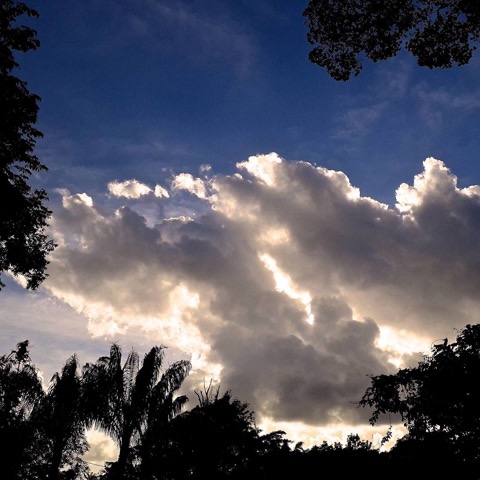Marc Pinget, écrivain poète à Montsinery en Guyane. Recueil de poèmes 2019 : Clouduages Marc Pinget, écrivain poète à Montsinery en Guyane. Recueil de poèmes 2019 : Clouduages