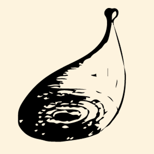 marc_pinget_album_a_la_ferme_illustration_et_dessin_6.png