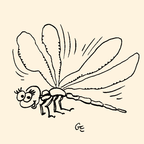marc_pinget_album_toutes_petites_betes_illustration_et_dessin_Gerard_Cousseau_5.jpg