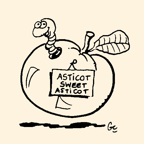 marc_pinget_album_toutes_petites_betes_illustration_et_dessin_Gerard_Cousseau_9.jpg