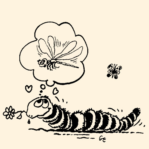 marc_pinget_album_toutes_petites_betes_illustration_et_dessin_Gerard_Cousseau_8.jpg