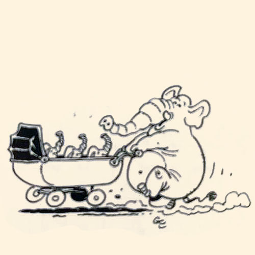 marc_pinget_album_dans_la_savane_illustration_et_dessin_Gerard_Cousseau_6.jpg